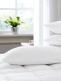 Luxurious 1 Piece Microfibre Pillow Filler - 16X24 Inch , White